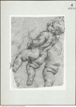 Vorderseite von bh311069_recto