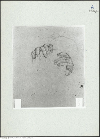 Vorderseite von bh311070_recto