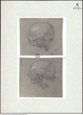 Vorderseite von bh311071_recto