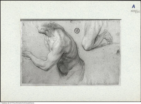 Vorderseite von bh311073_recto