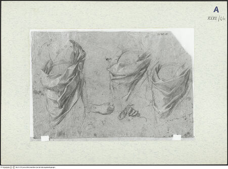 Vorderseite von bh311074_recto