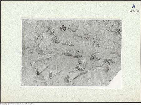 Vorderseite von bh311075_recto