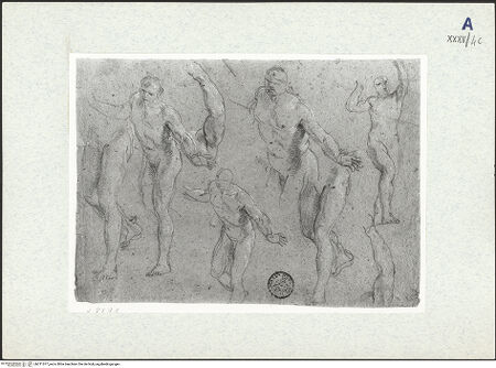 Vorderseite von bh311077_recto