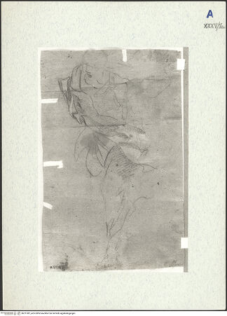 Vorderseite von bh311081_recto