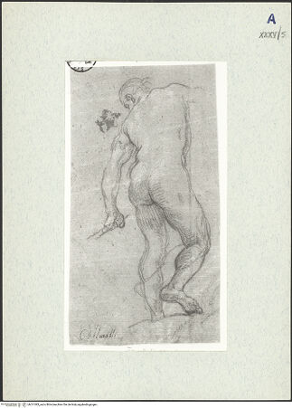 Vorderseite von bh311083_recto