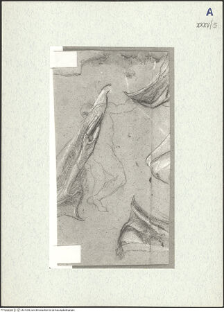 Vorderseite von bh311084_recto