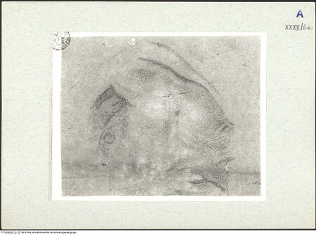 Vorderseite von bh311085_recto