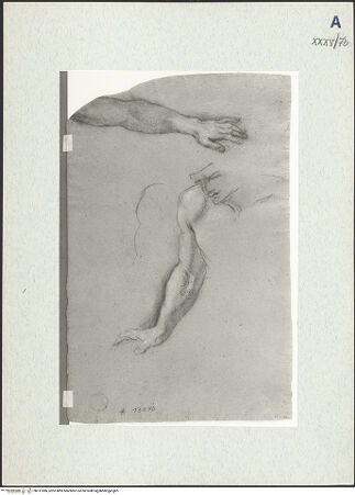 Vorderseite von bh311086_recto