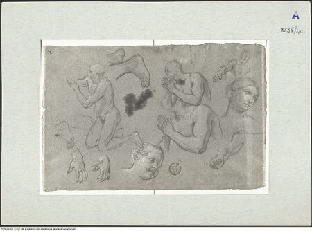 Vorderseite von bh311090_recto