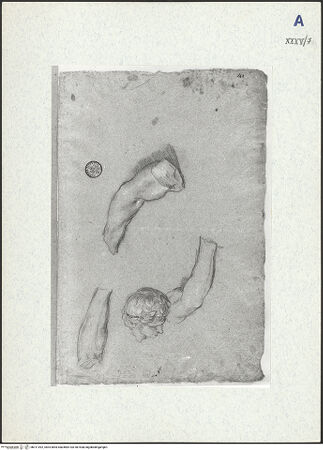 Vorderseite von bh311092_recto