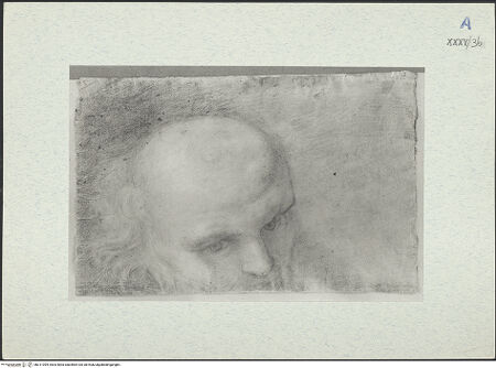 Vorderseite von bh311094_recto