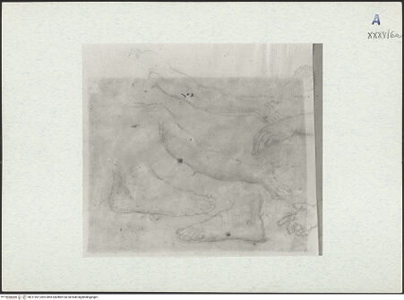 Vorderseite von bh311097_recto