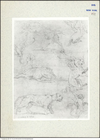 Vorderseite von bh311150_recto