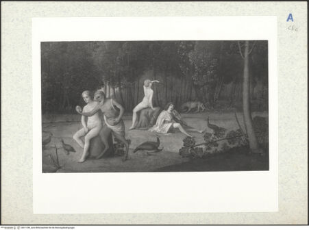 Vorderseite von bh311290_recto