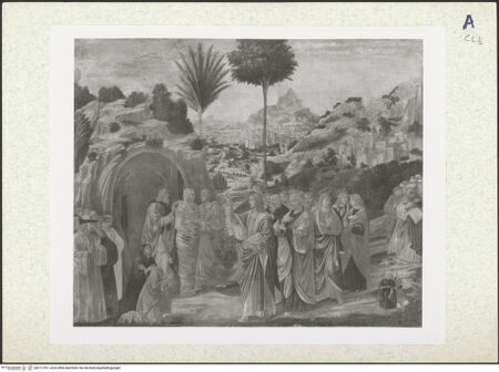 Vorderseite von bh311297_recto