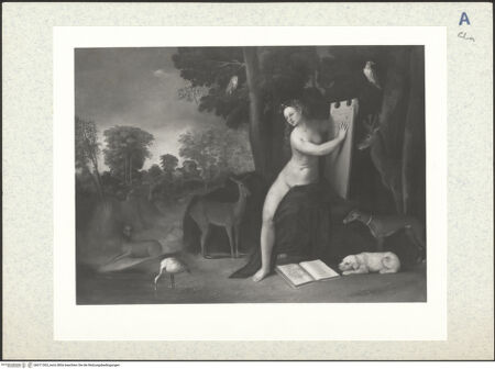 Vorderseite von bh311303_recto