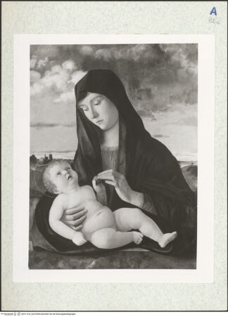 Vorderseite von bh311316_recto