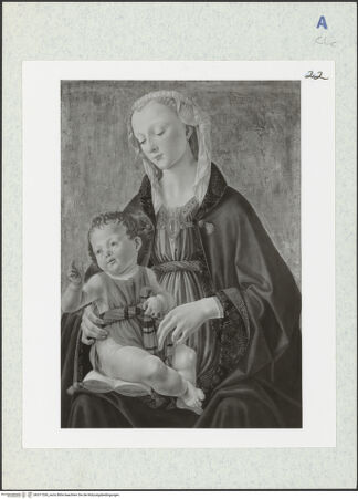 Vorderseite von bh311336_recto