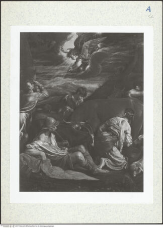 Vorderseite von bh311364_recto