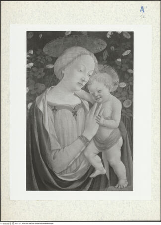 Vorderseite von bh311375_recto