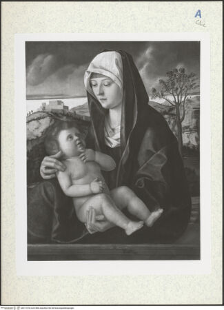 Vorderseite von bh311378_recto