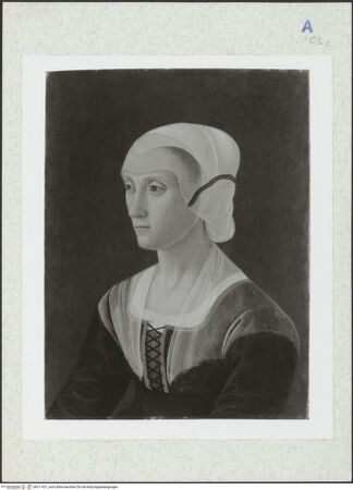 Vorderseite von bh311421_recto