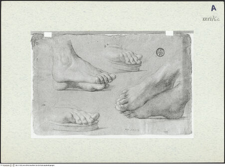 Vorderseite von bh311444_recto