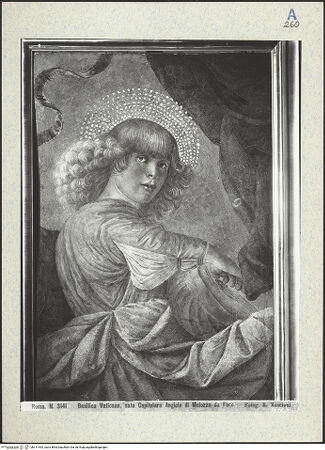 Vorderseite von bh311463_recto