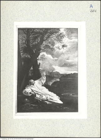 Vorderseite von bh311481_recto