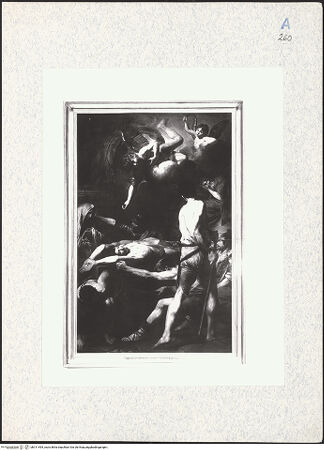 Vorderseite von bh311494_recto