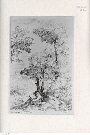 Vorderseite von Landesbildstelle Rheinland [http://creativecommons.org/publicdomain/mark/1.0/] Heiliger Hieronymus - , bh311877. Foto.