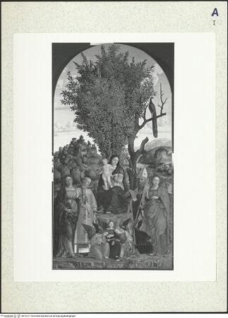 Vorderseite von bh312277_recto