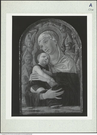 Vorderseite von bh312283_recto