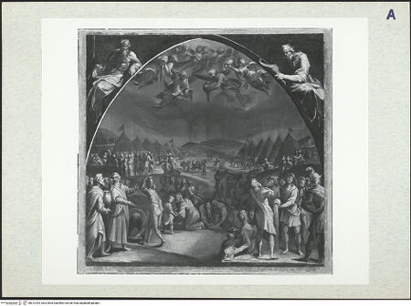 Vorderseite von bh312295_recto