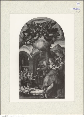 Vorderseite von bh312431_recto