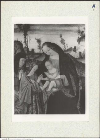 Vorderseite von bh312441_recto