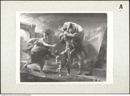 Vorderseite von bh312481_recto