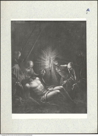 Vorderseite von bh312483_recto