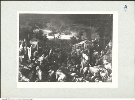 Vorderseite von bh312495_recto