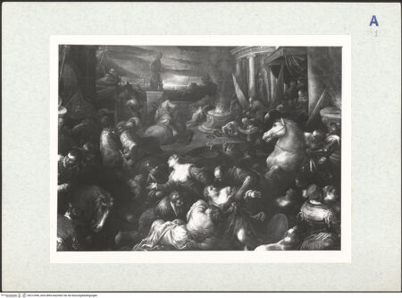 Vorderseite von bh312496_recto