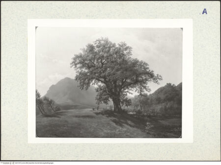 Vorderseite von bh312515_recto