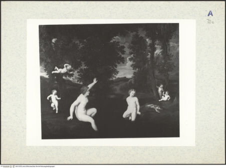 Vorderseite von bh312523_recto