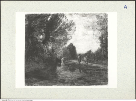 Vorderseite von bh312525_recto