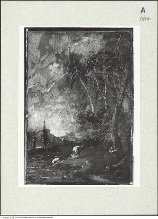 Vorderseite von bh312556_recto