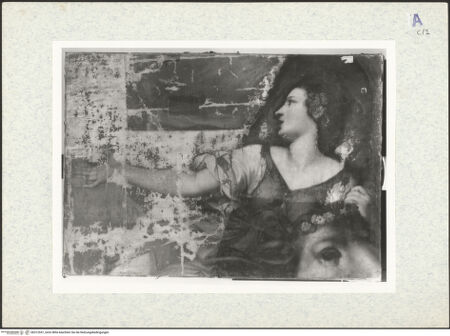 Vorderseite von bh312557_recto