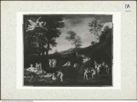 Vorderseite von bh312561_recto