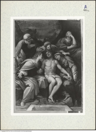 Vorderseite von bh312562_recto