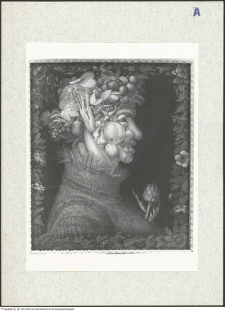 Vorderseite von bh312569_recto