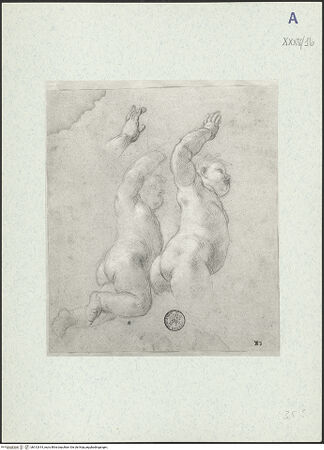 Vorderseite von bh312614_recto