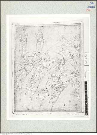 Vorderseite von bh312746_recto